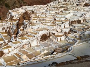 Maras Moray