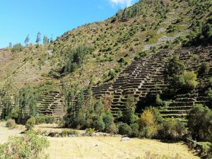 Pumamarca Ruins