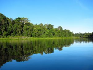 Paradies im Amazon